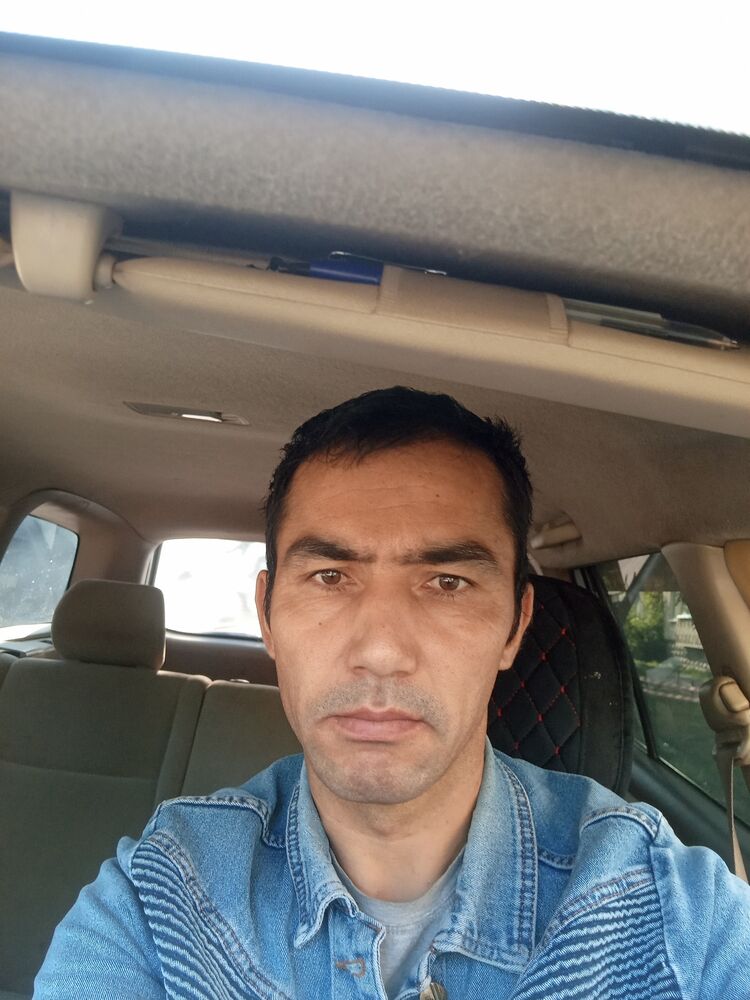 52769441  , 38 ,    