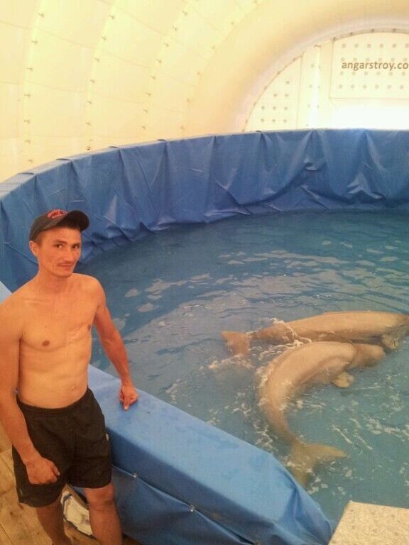 ���������� ������, ���� ������� �������, 39 ���, ������������ ��� ������, ����� � ���������, c�������� ���������