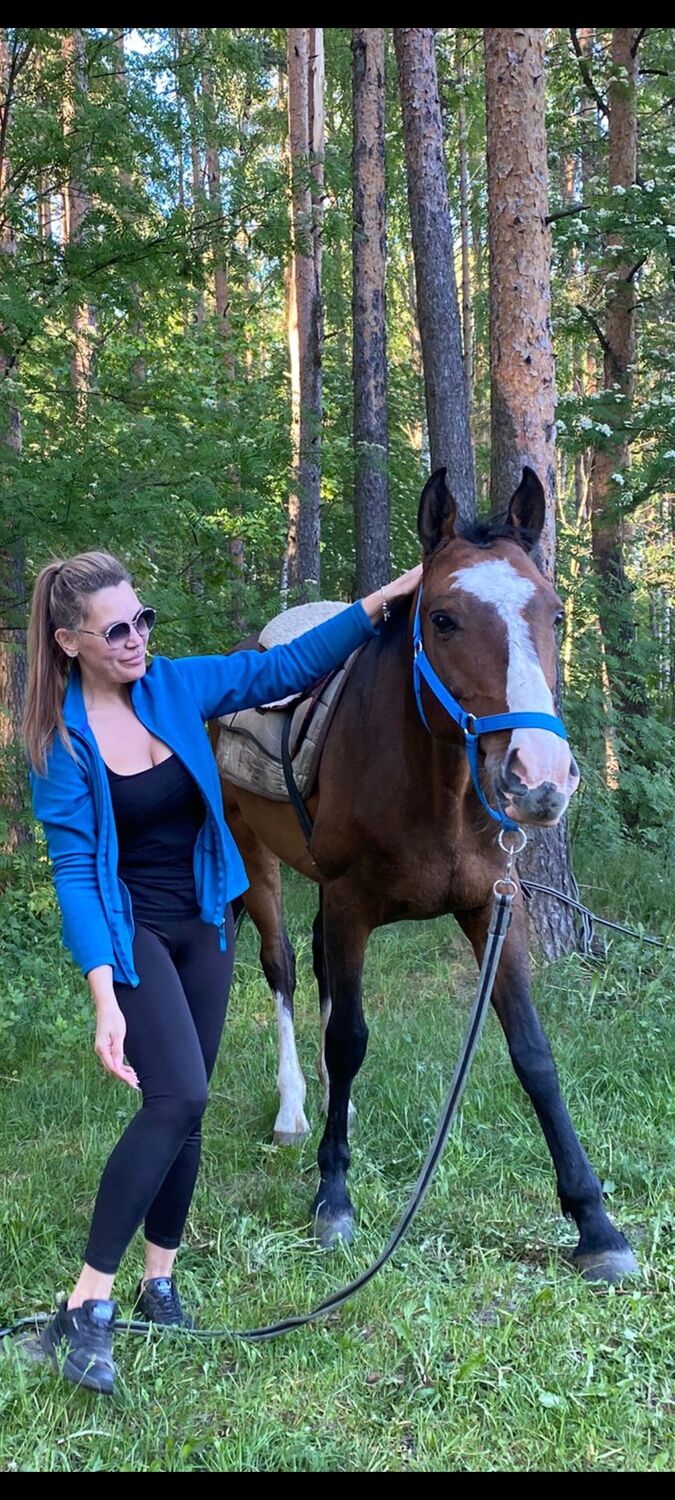 ���� 43573581 ������� �������, 42 ����, ���� ���������� � �����-����������