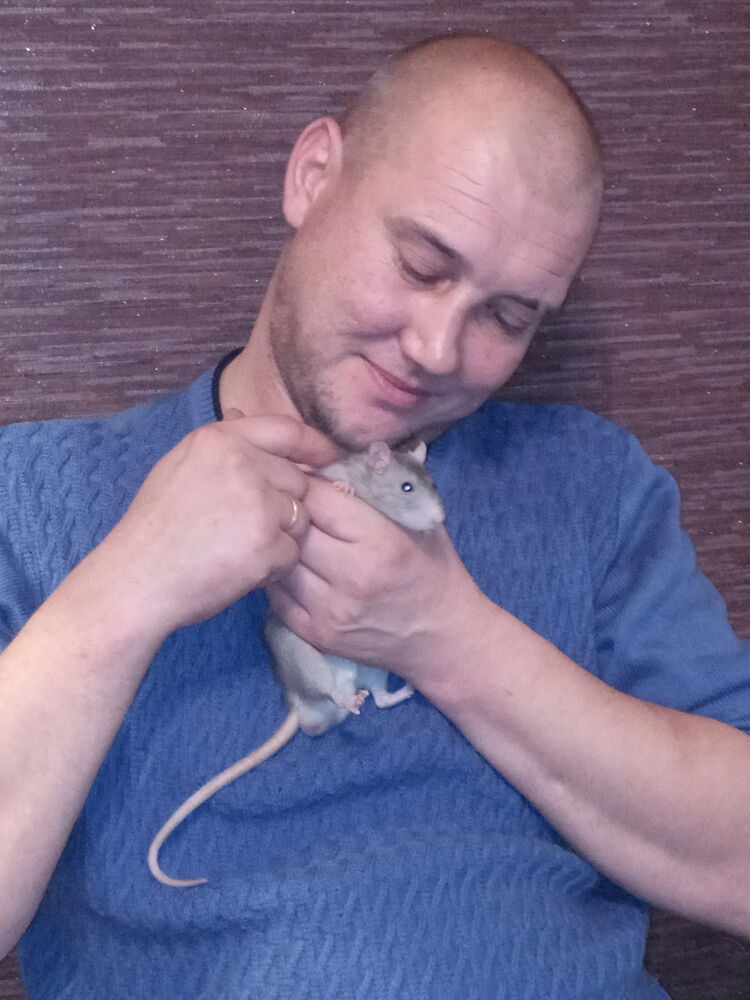 ���� 23660471 ������� ��������, 39 ���, ���� ���������� � ������