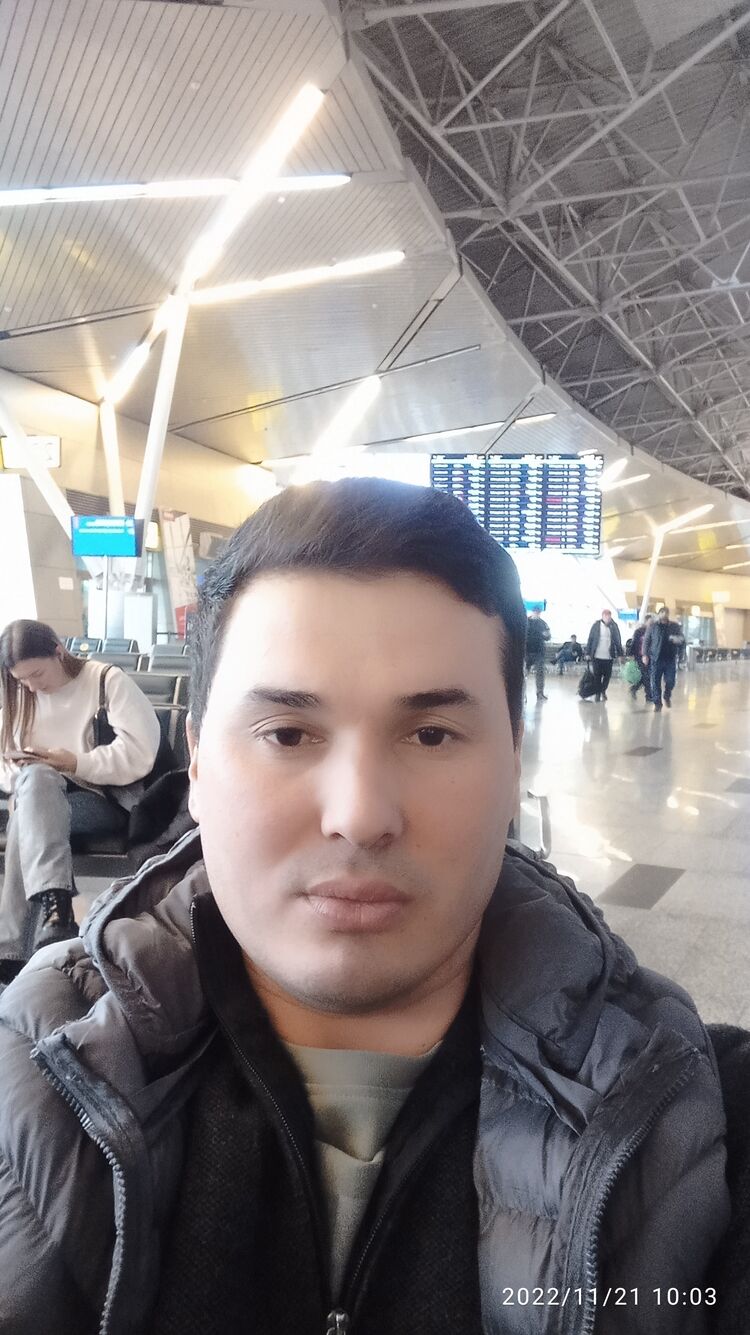  34031251  , 33 ,    