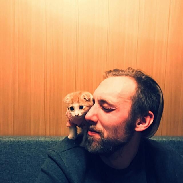 ���� 39341721 ������� ������, 35 ���, ���� ���������� � �����-����������