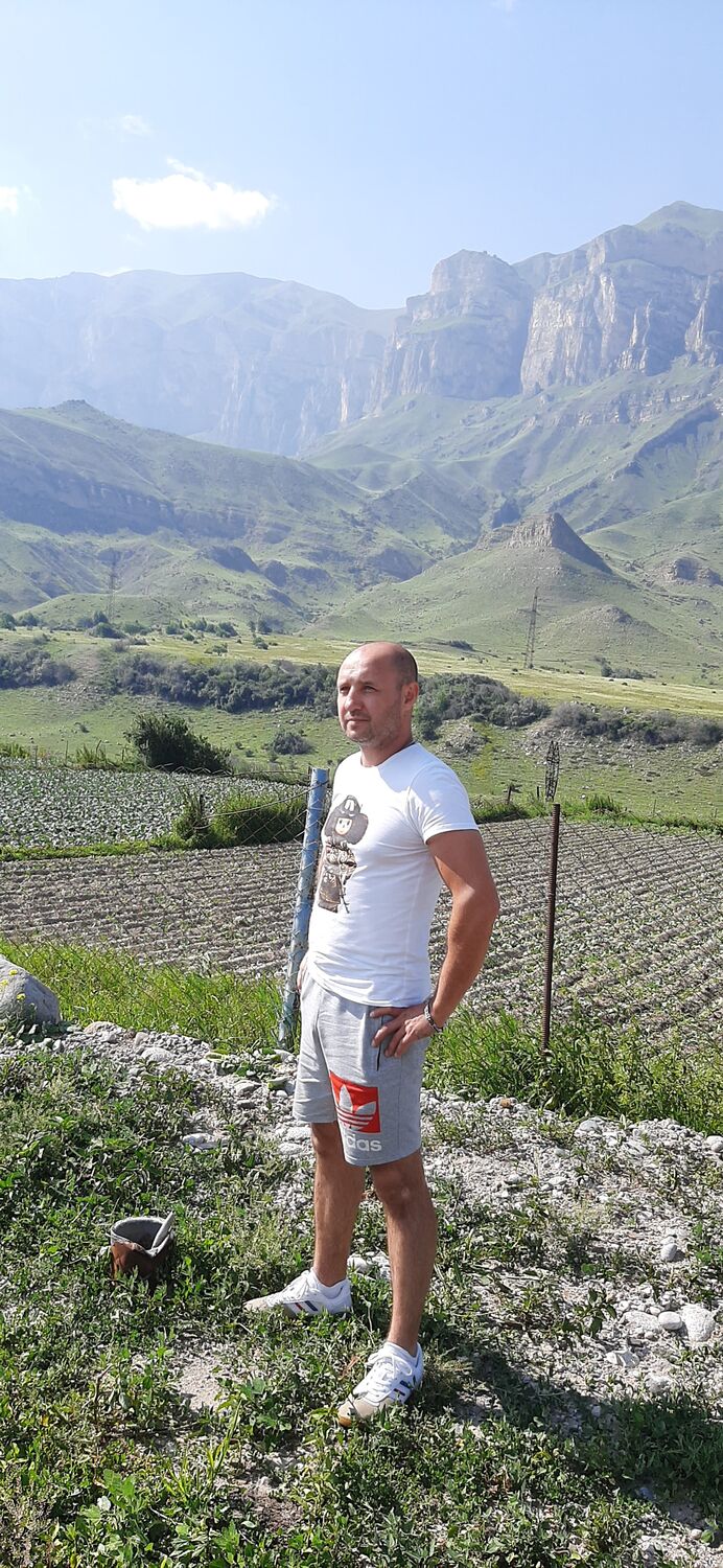 ���� 31034311 ������� �������, 41 ���, ���� ���������� � ����������