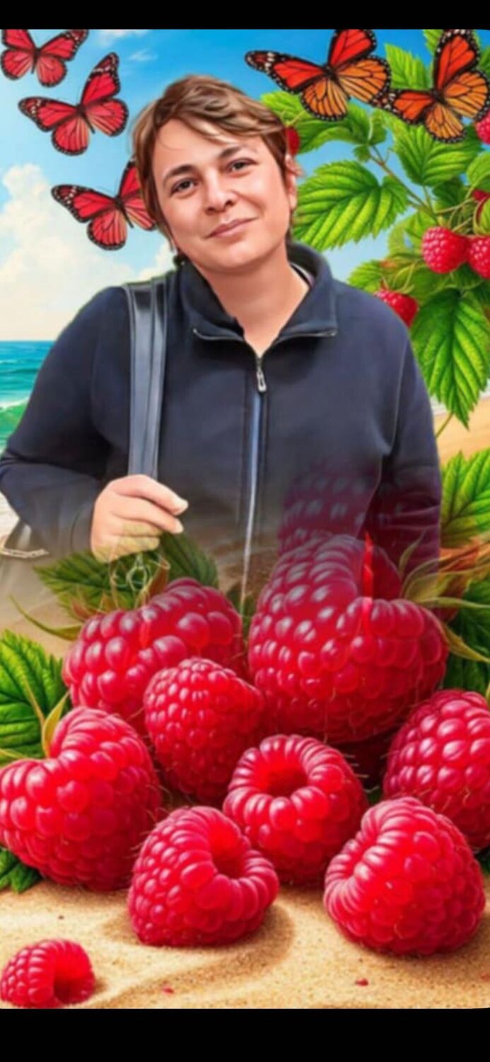 ���� 55603501 ������� ������, 49 ���, ���� ���������� � �����