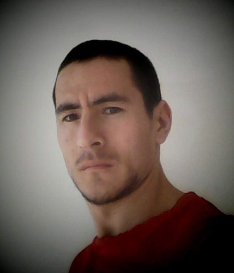  47798231  , 31 ,    
