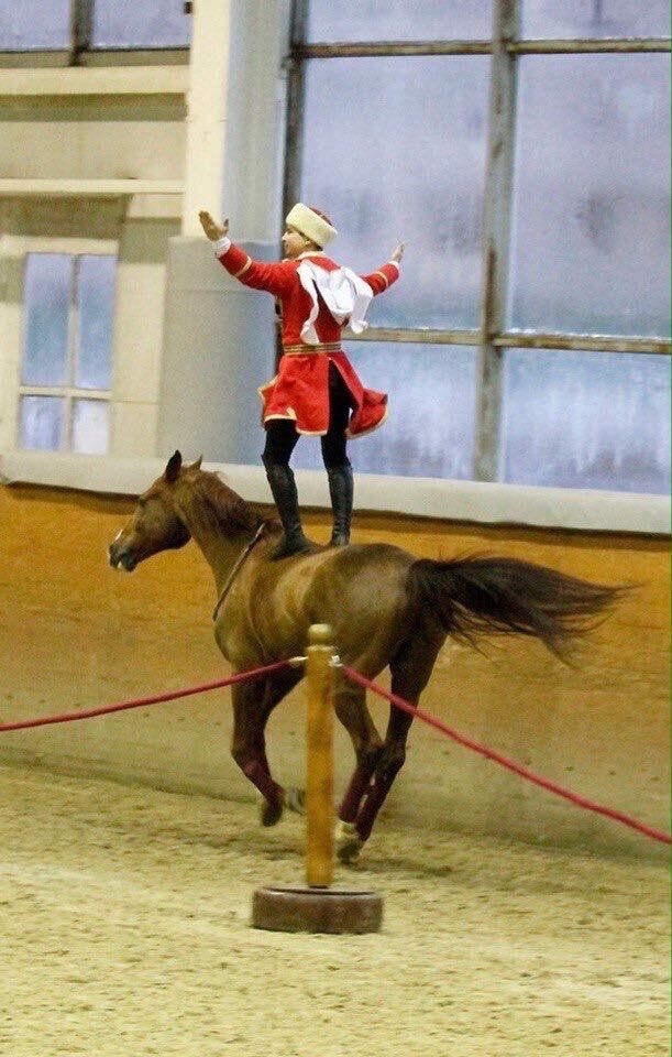 ���������� ������, ���� ������� ����, 31 ���, ������������ ��� ������, ����� � ���������, c�������� ���������, ���������