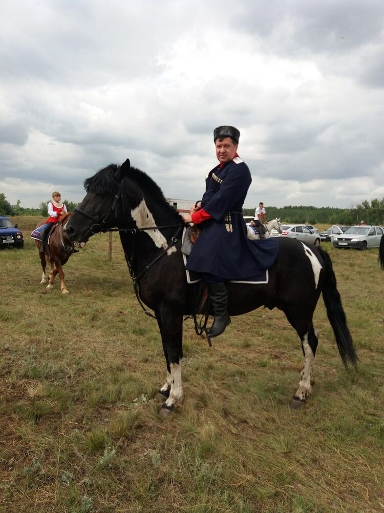  17569821  Vladimir, 74 ,    