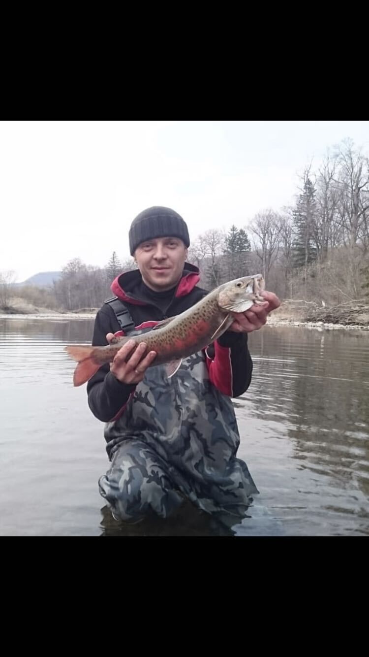  ,   , 40 ,   c 