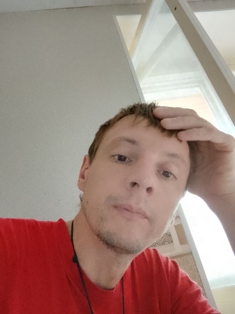  37586941  , 44 ,    