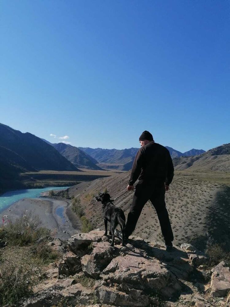 ���� 29944701 ������� �������, 42 ����, ���� ���������� � ������������