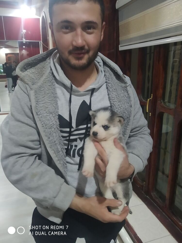  ,   , 24 ,  