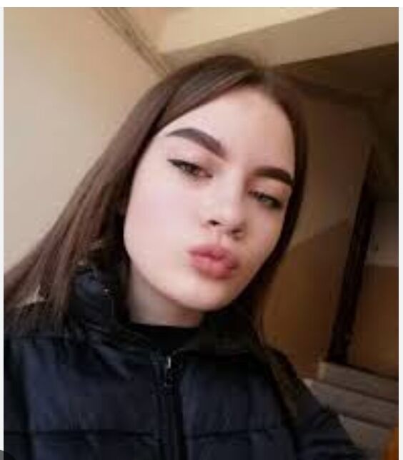  48287261  , 24 ,    
