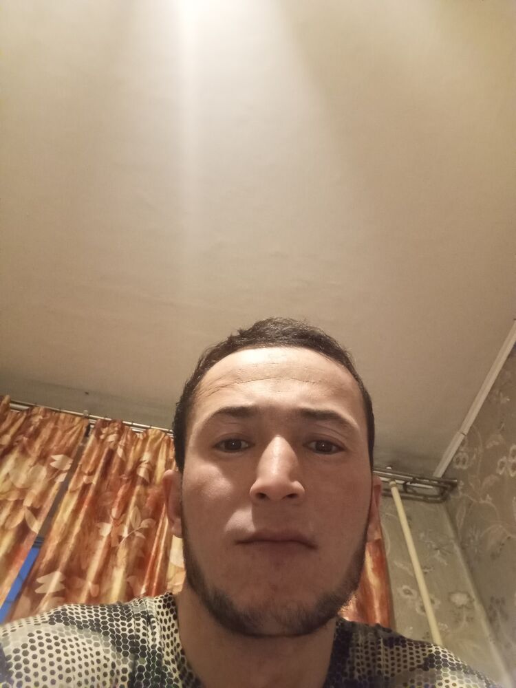  50674091  , 33 ,    