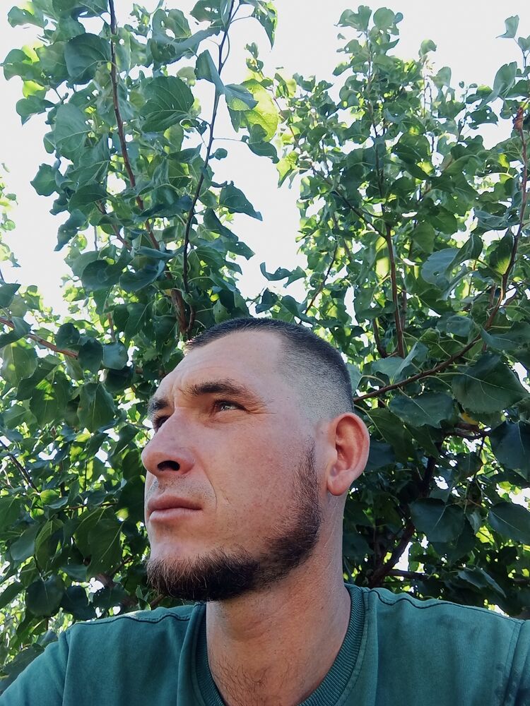 ���� 37308381 ������� ����, 32 ����, ���� ���������� � �����������