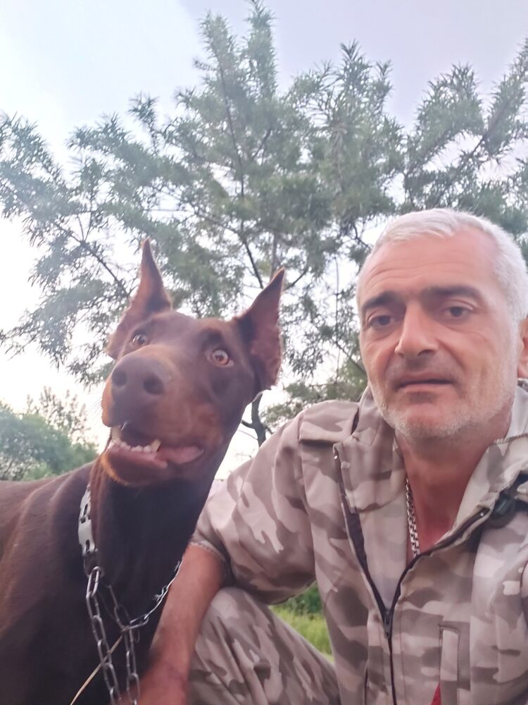 ���� 55511461 ������� ����, 50 ���, ���� ���������� � ����