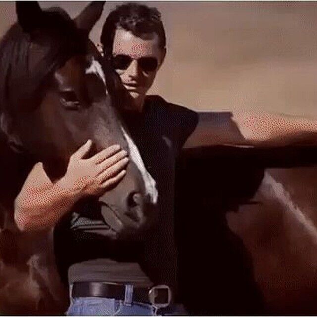 ���� 13433271 ������� �����, 44 ����, ���� ���������� � ��������