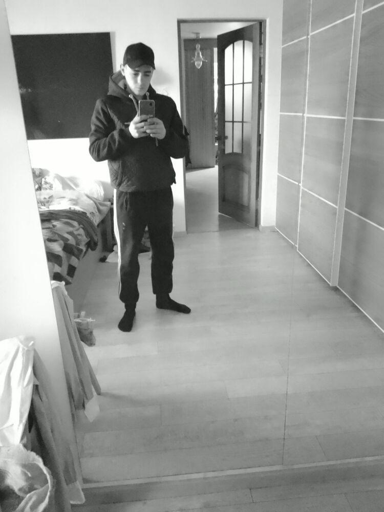  33526911  , 24 ,    