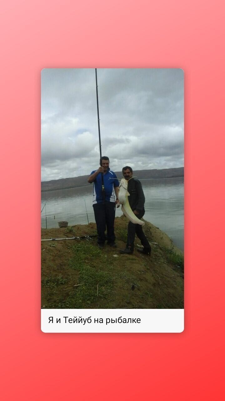  ,   , 54 ,   ,   , 