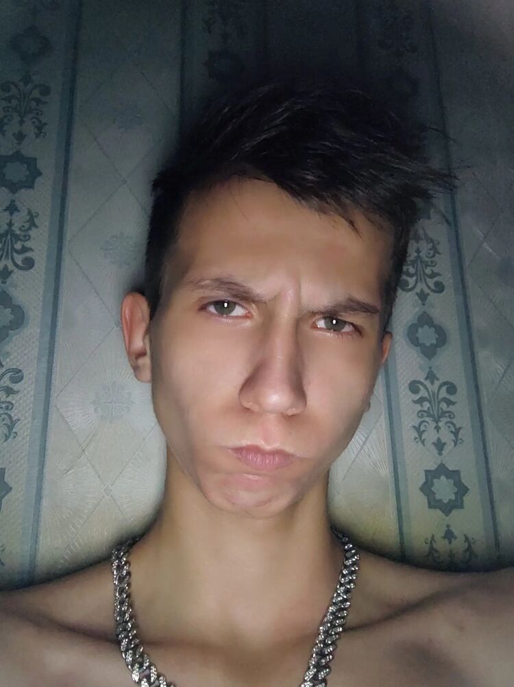  43305661  , 22 ,    