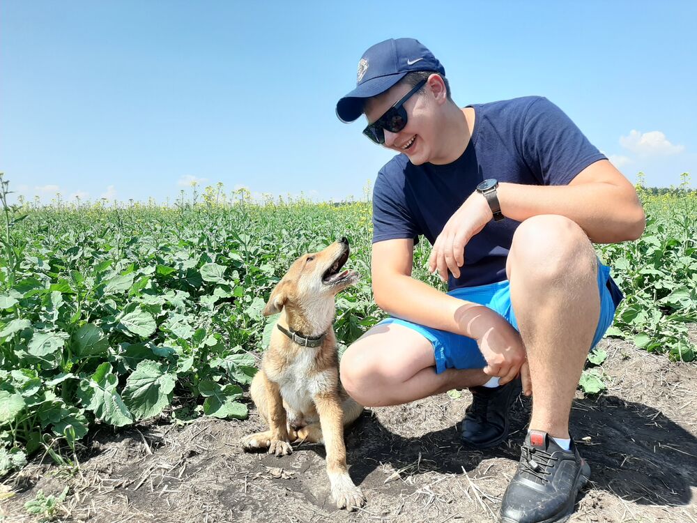 ���� 50030491 ������� ������, 29 ���, ���� ���������� � ����