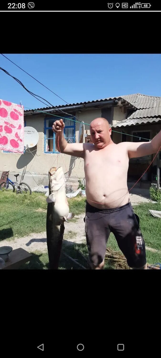  45214571  , 39 ,    