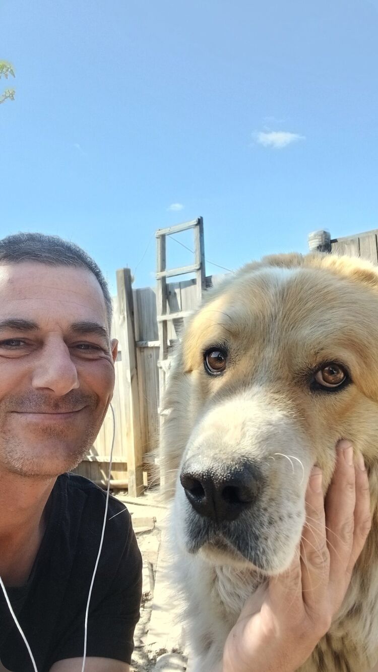 ���������� ������ ��������, ���� ������� �������, 47 ���, ������������ ��� ������, ����� � ���������