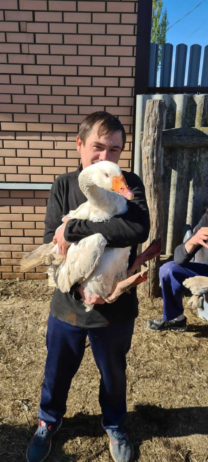  26844661  , 44 ,    -