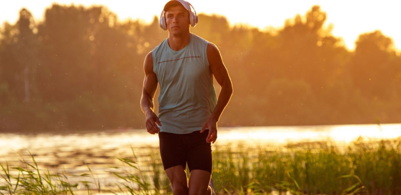  50066271  , 36 ,    -