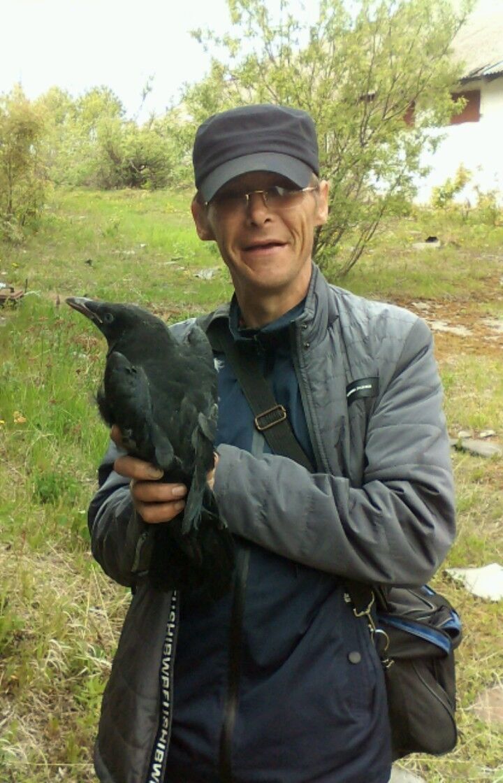  -,   , 51 ,   