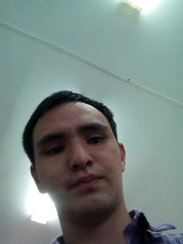  13426841  , 28 ,    