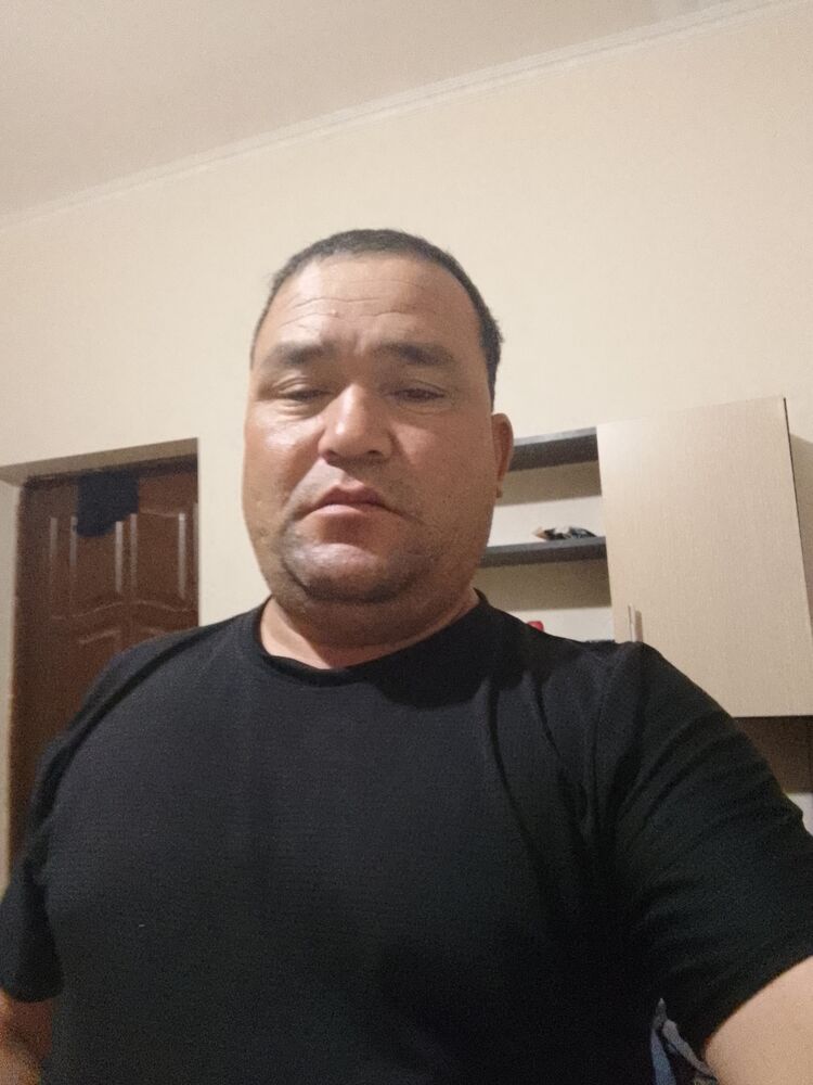  48175411  , 41 ,    
