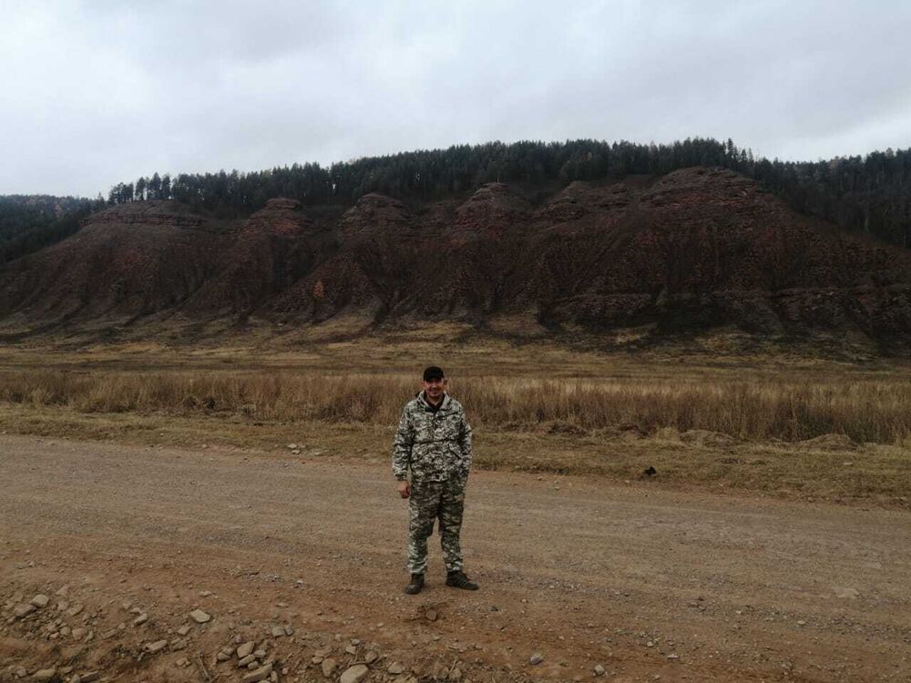 ���� 24309831 ������� �������, 48 ���, ���� ���������� � ��������