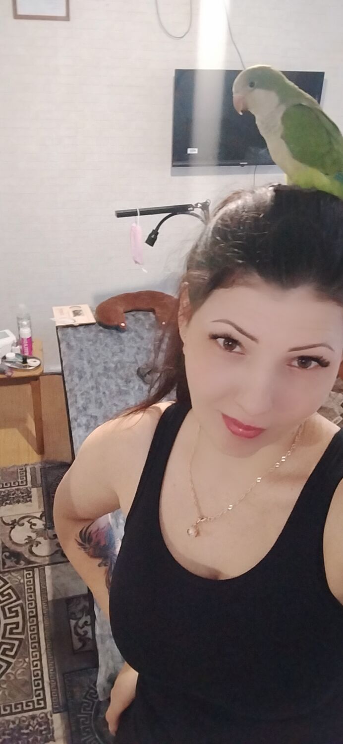 ���� 55850891 ������� �������, 36 ���, ���� ���������� � �������