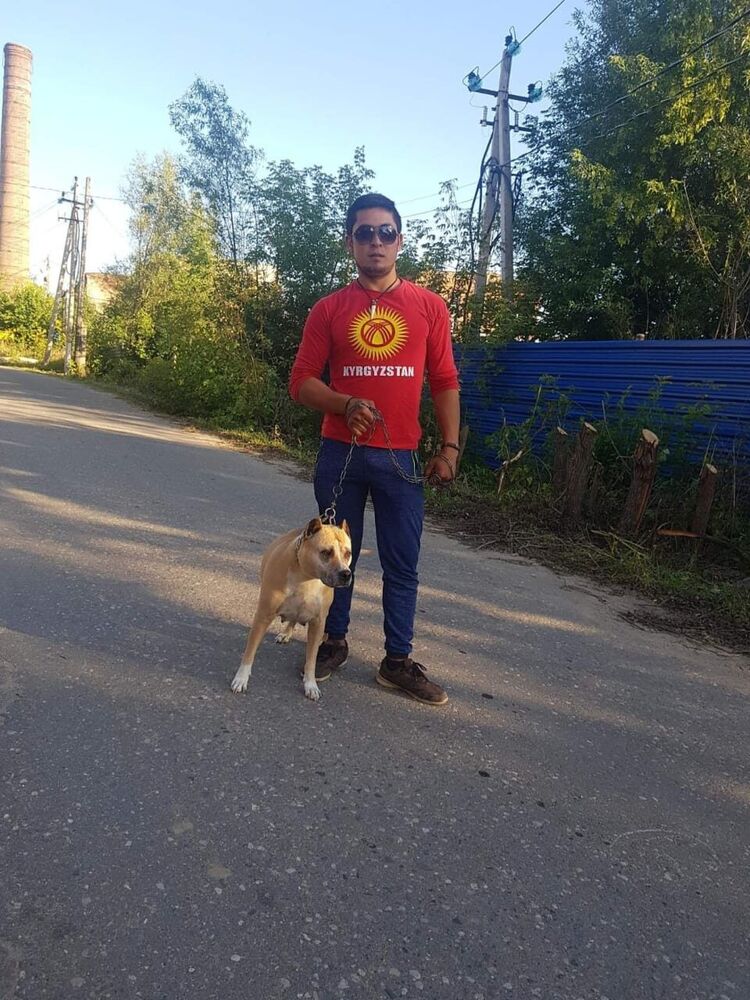  48940981  , 28 ,    