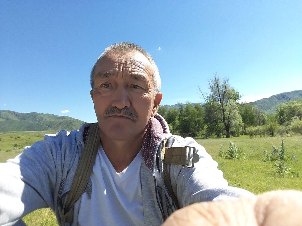  17954981  Saur, 63 ,    