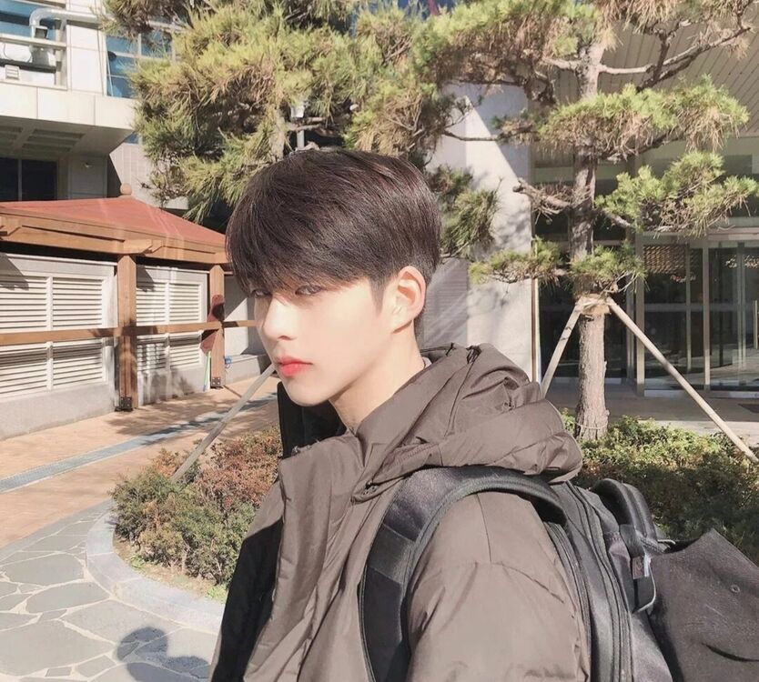 ���������� �����, ���� ����� ������, 19 ���, ������������ ��� ����� � ���������, c�������� ���������