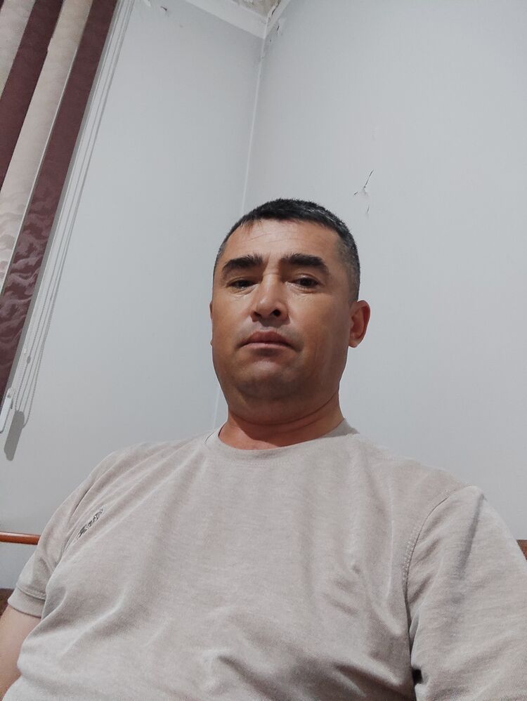  34593531  , 38 ,    