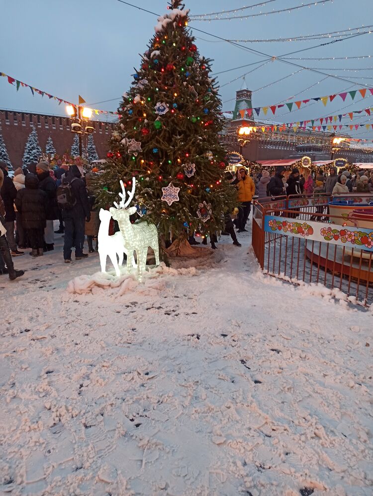 ���� 31231611 ������� Maruf, 41 ���, ���� ���������� � ������