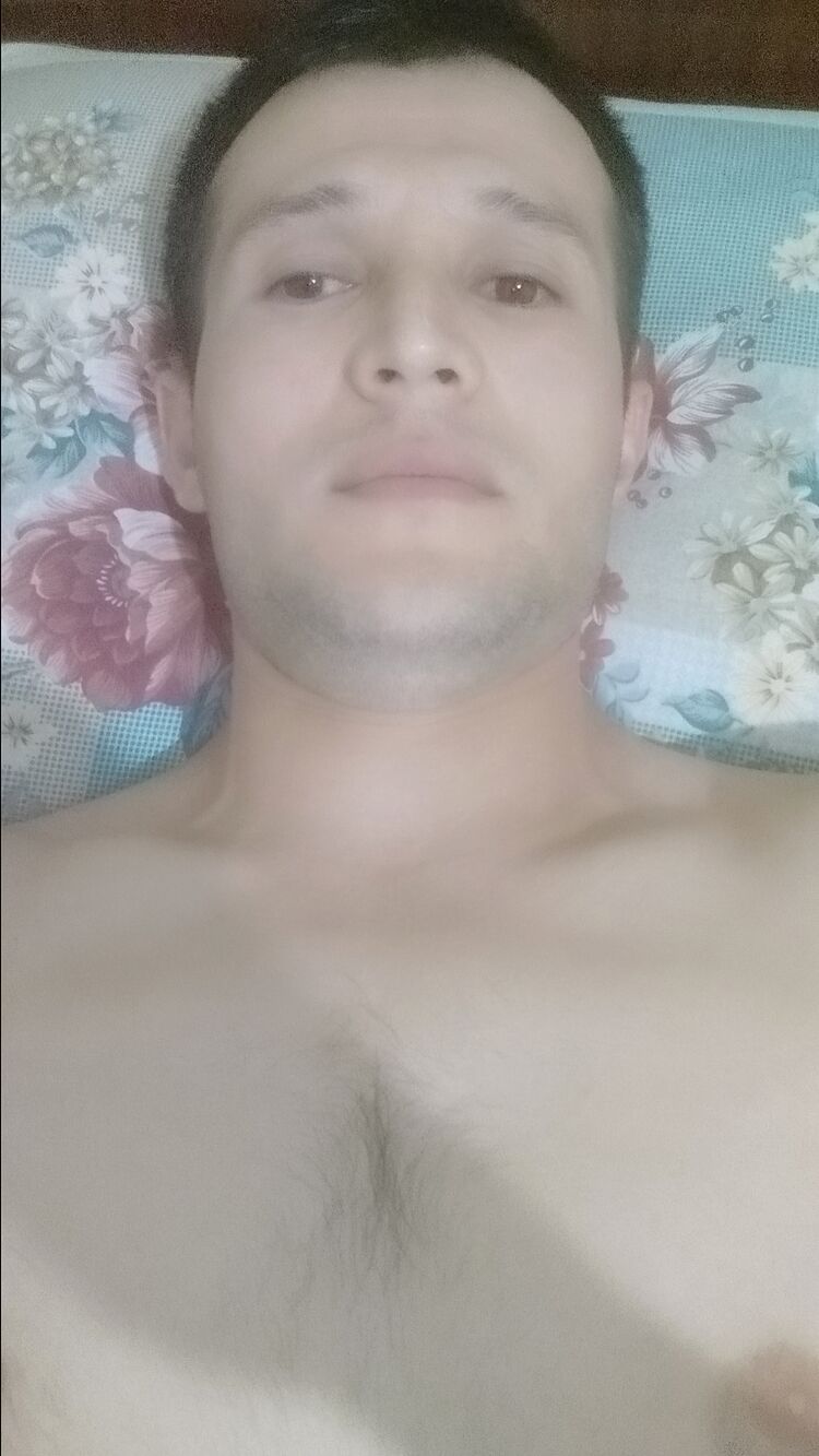  28850831  , 33 ,    