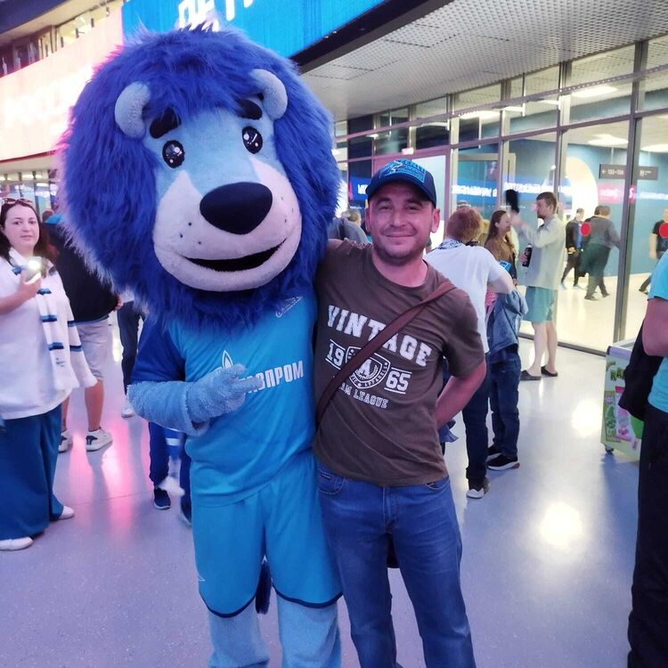  38672051  , 43 ,    -