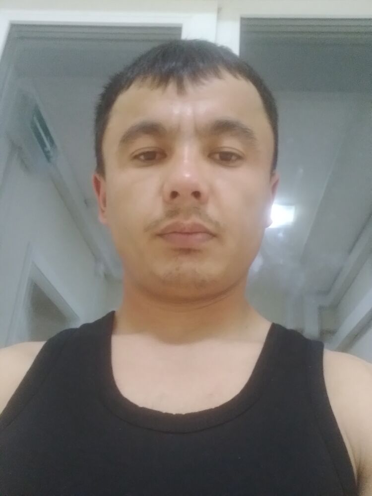  24170791  , 34 ,    -