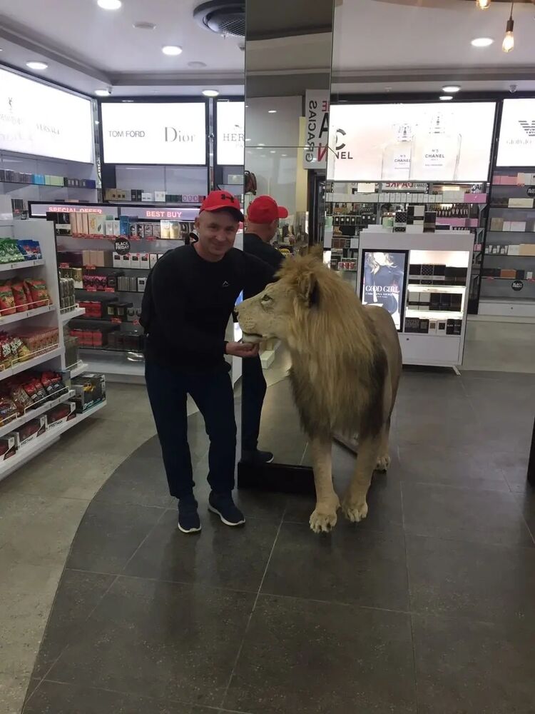 ���������� �����������, ���� ������� ���, 38 ���, ������������ ��� ������, ����� � ���������