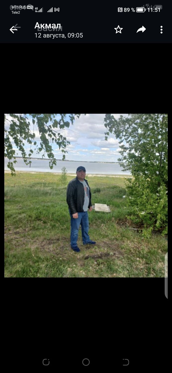  31739111  , 46 ,    