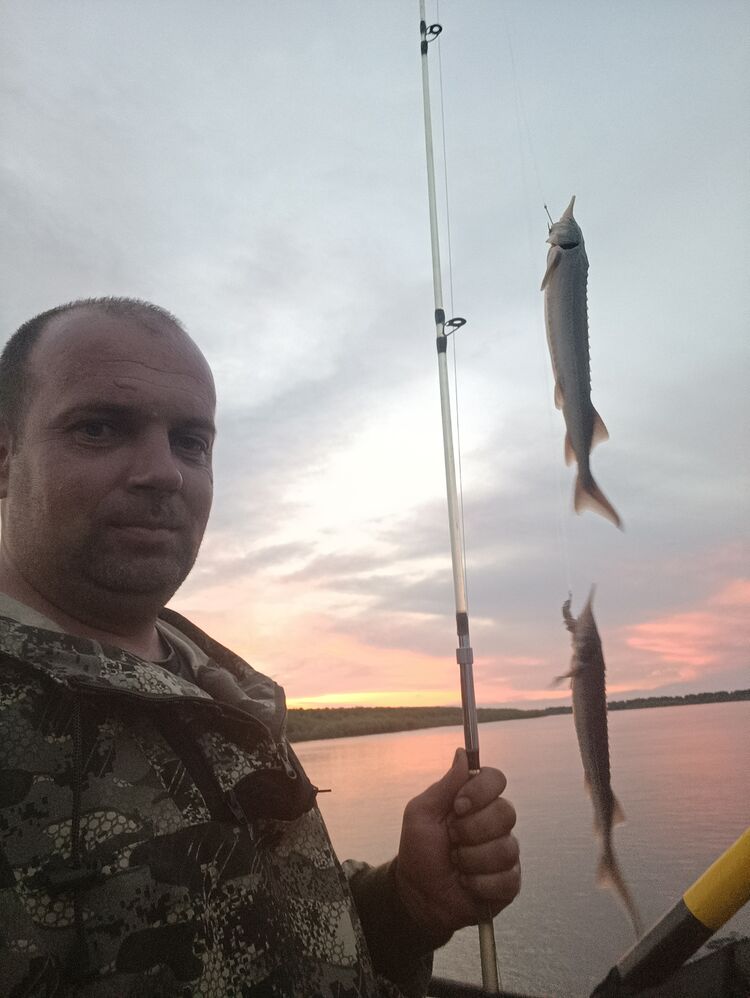 ���������� ������������, ���� ������� Evgeny, 37 ���, ������������ ��� ������, ����� � ���������