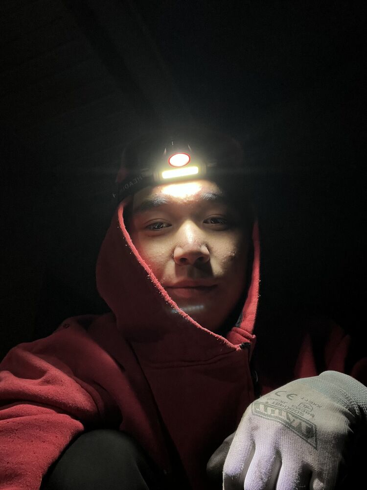 ���� 55427141 ����� ������, 20 ���, ���� ���������� � �������