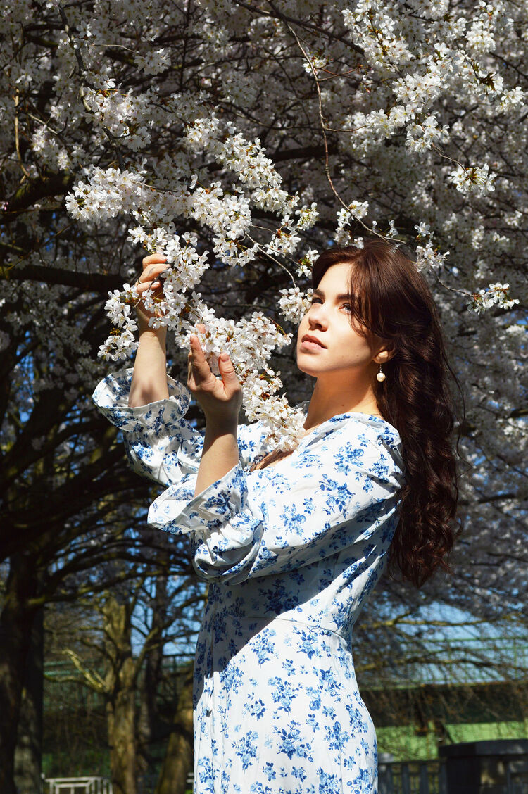  52554961  , 33 ,    -