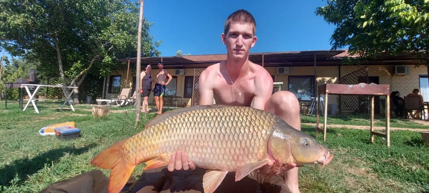 ���� 52761701 ������� �������, 27 ���, ���� ���������� � �������������