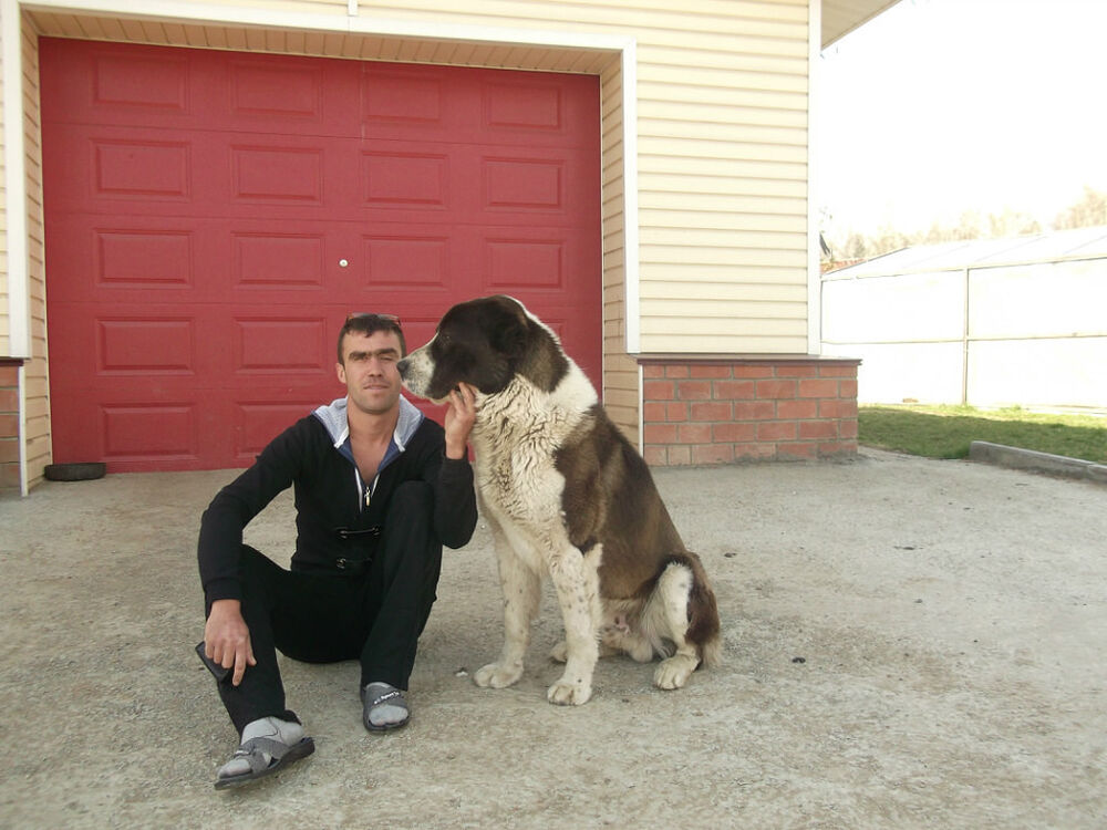  ,   Ivan, 37 ,   ,   , c 