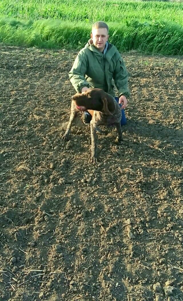  --,   , 33 ,   ,   , 