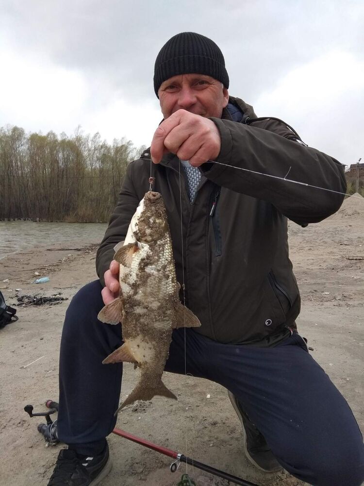 ���������� ������, ���� ������� �����, 53 ����, ������������ ��� ������, ����� � ���������